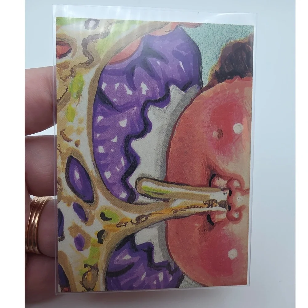 Garbage Pail Kids Trading Card OS2 Pink Fair 68a Oliver Twisted